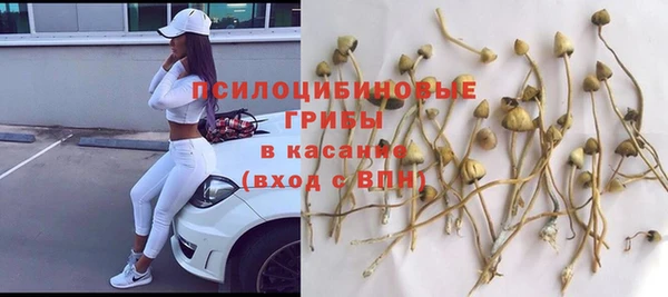 бошки Костерёво