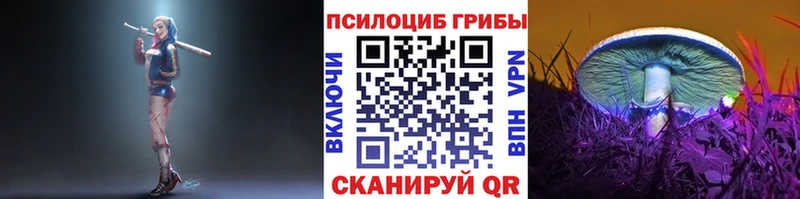ОМГ ОМГ ссылка  Котовск  Псилоцибиновые грибы мицелий 